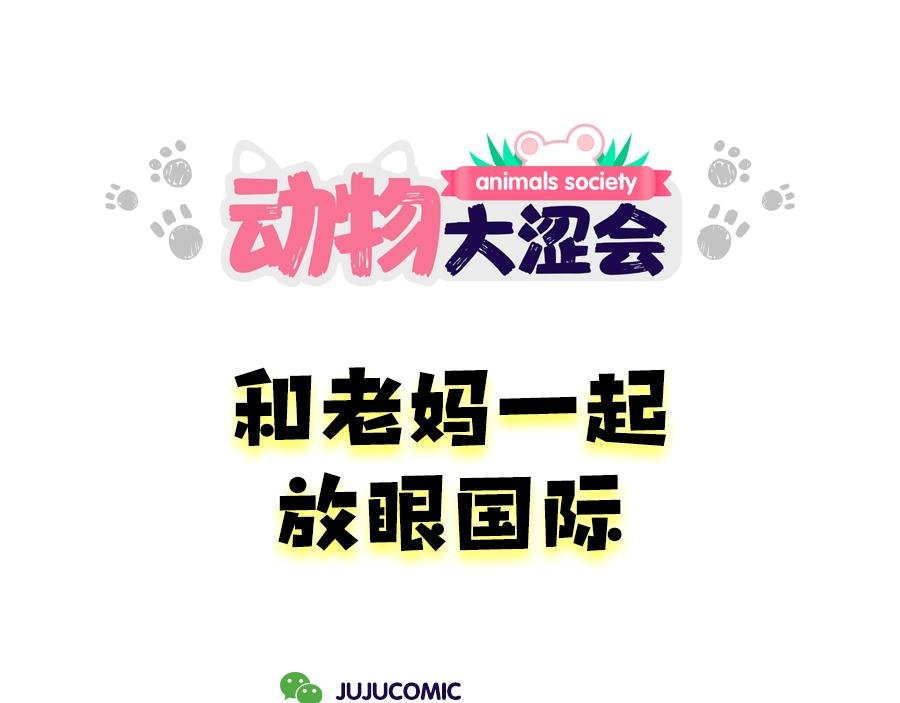 老妈放眼看时间&复工啦！