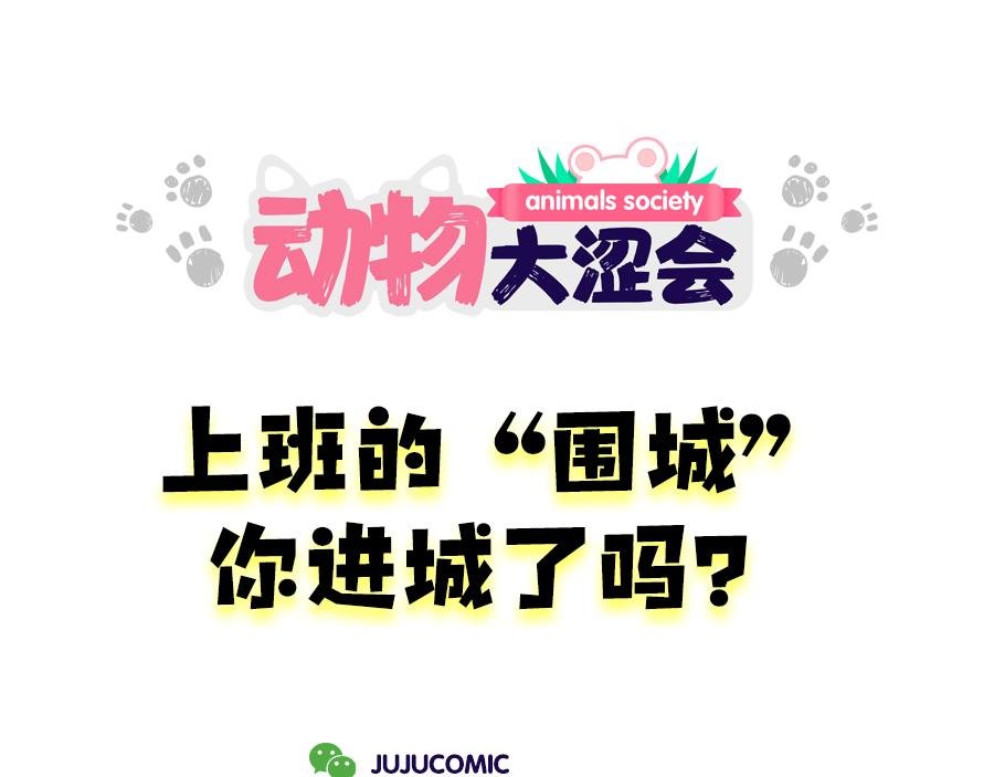 老妈放眼看时间&复工啦！