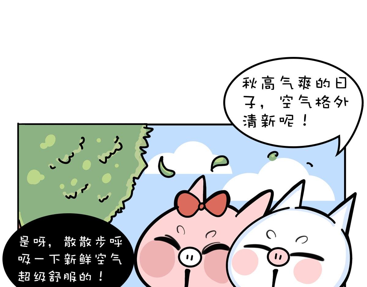一个恐怖的故事&跟巴菲特炒股