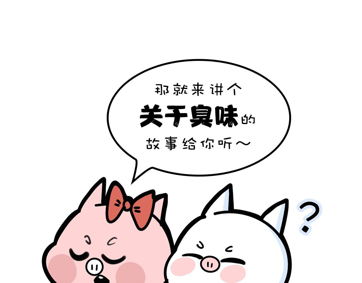 一个恐怖的故事&跟巴菲特炒股