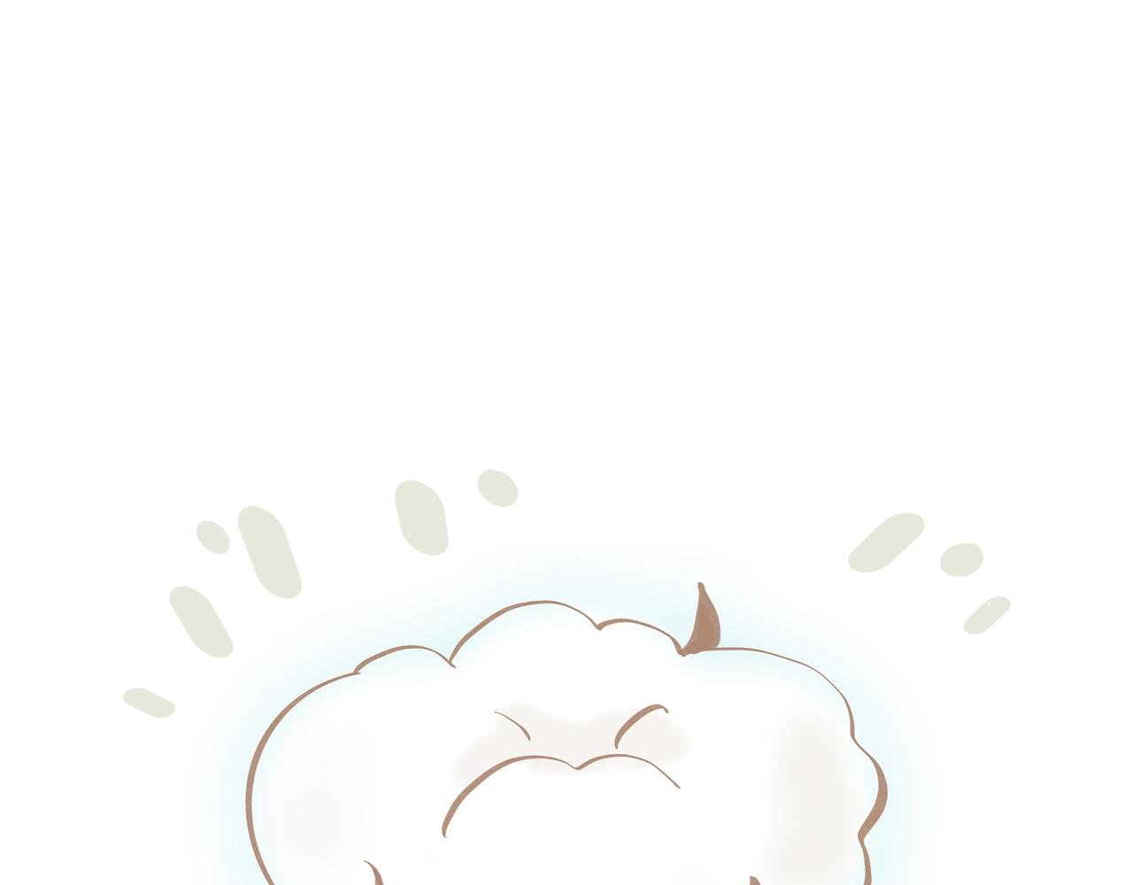 柔柔软软暖暖弹弹的新疆棉