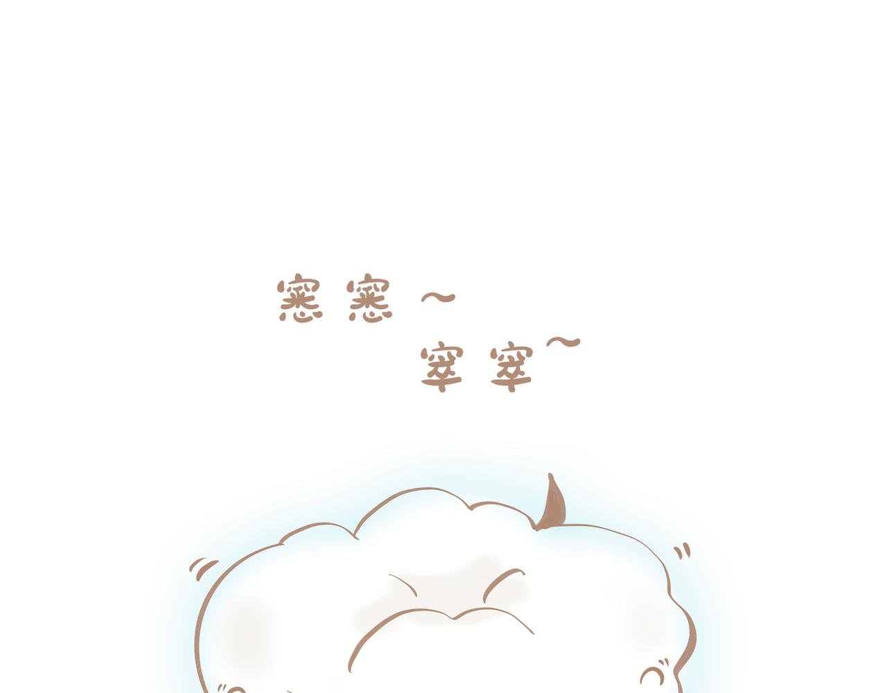 柔柔软软暖暖弹弹的新疆棉
