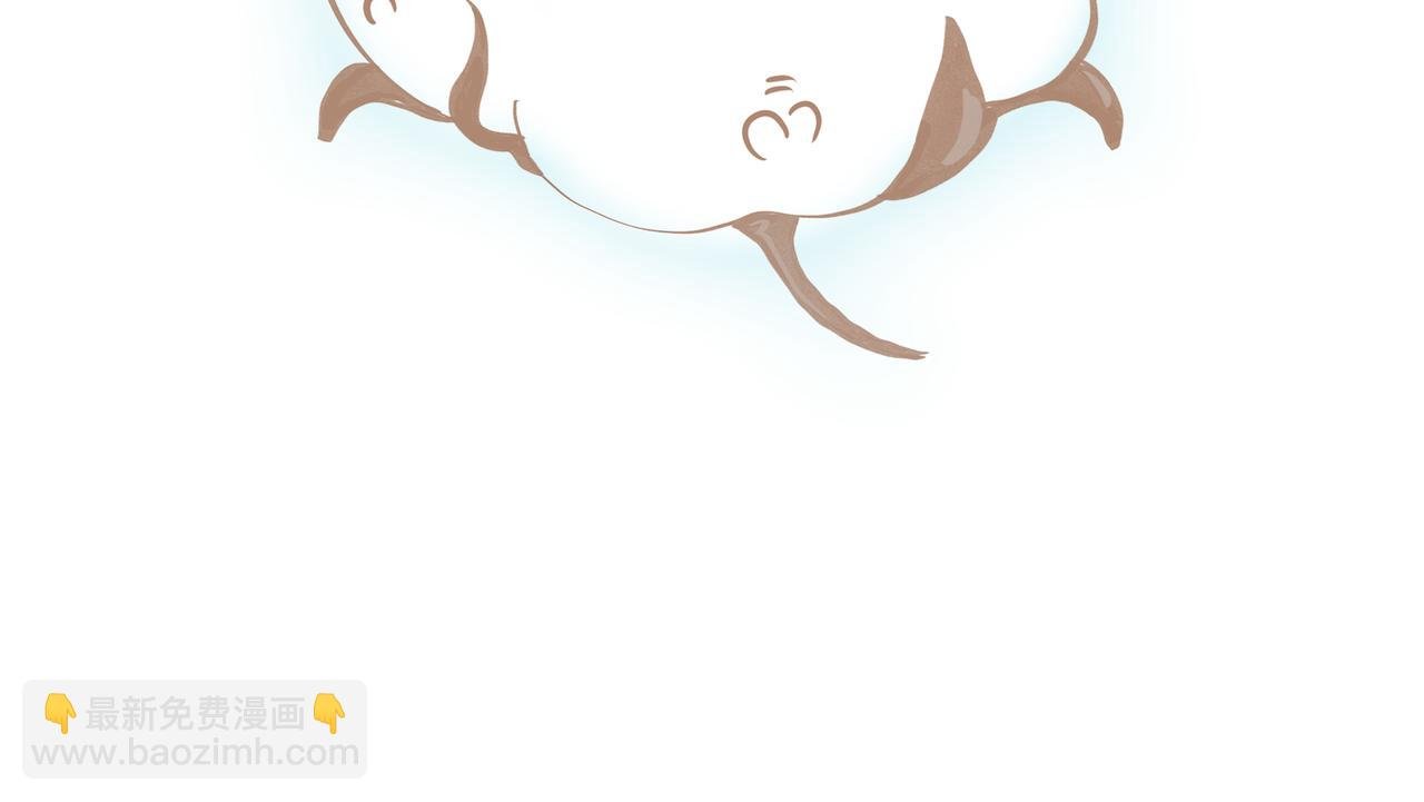 柔柔软软暖暖弹弹的新疆棉