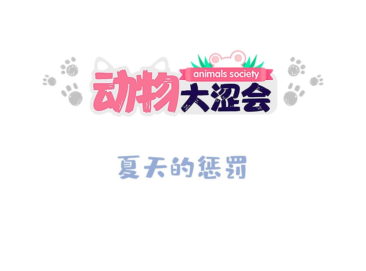 夏天的惩罚