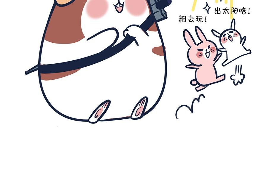 大夏天的糟心事儿（上）