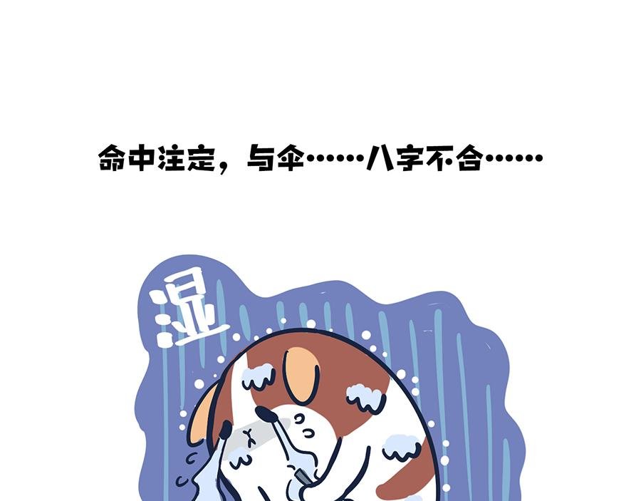 大夏天的糟心事儿（上）