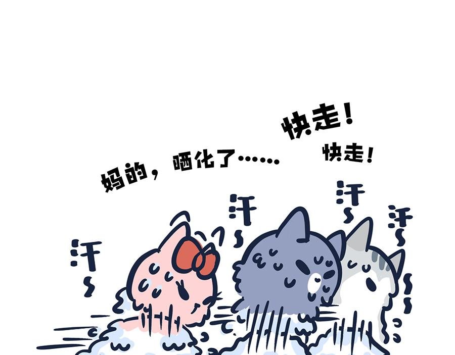 大夏天的糟心事儿（上）