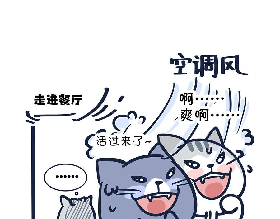 大夏天的糟心事儿（上）