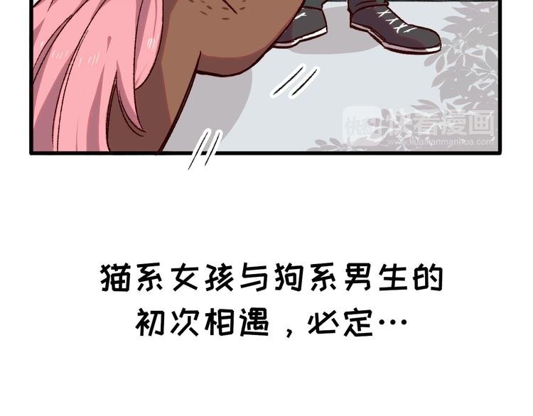 序章 狸猫女与哈士奇男世纪大战