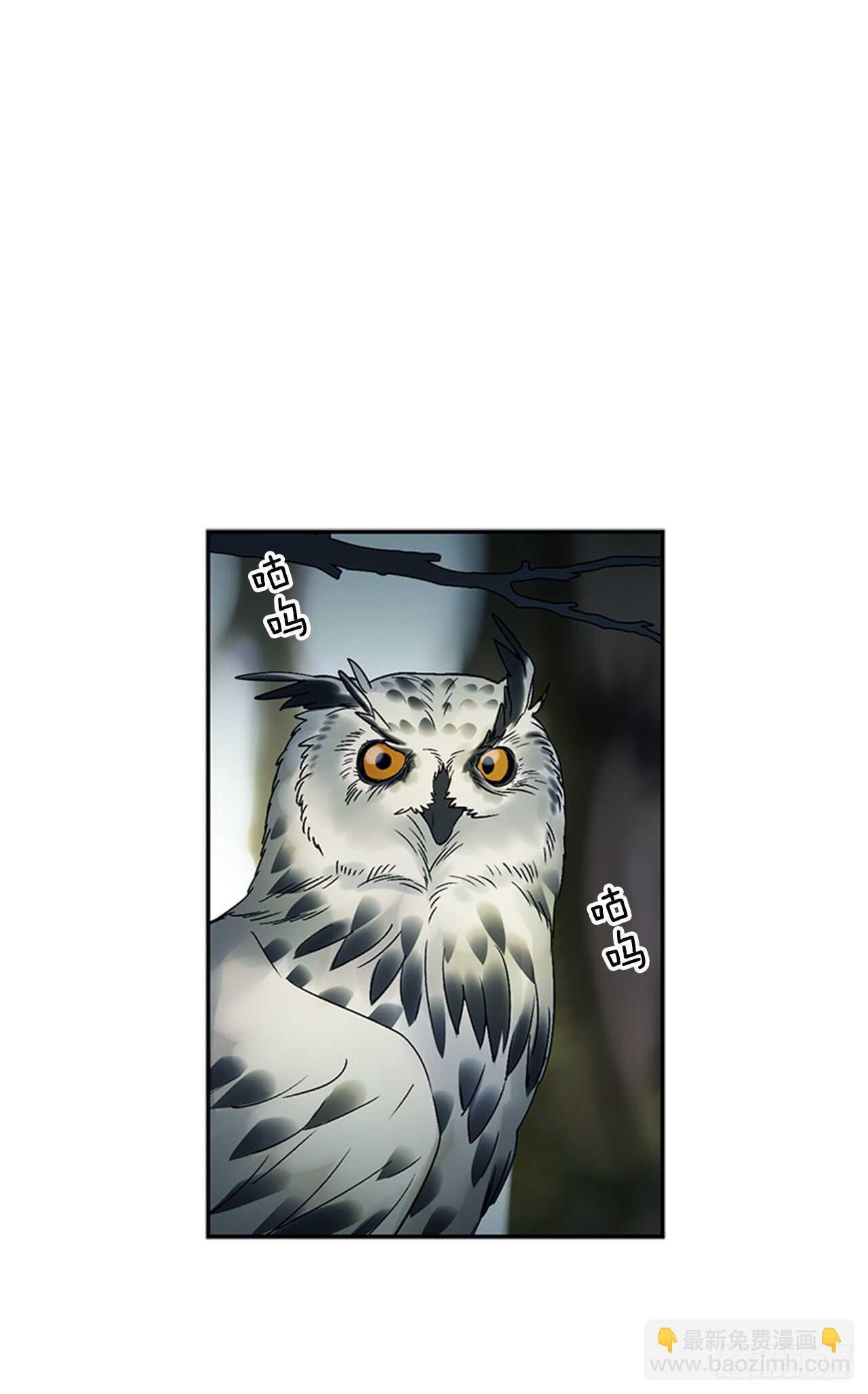 9.两只鬼