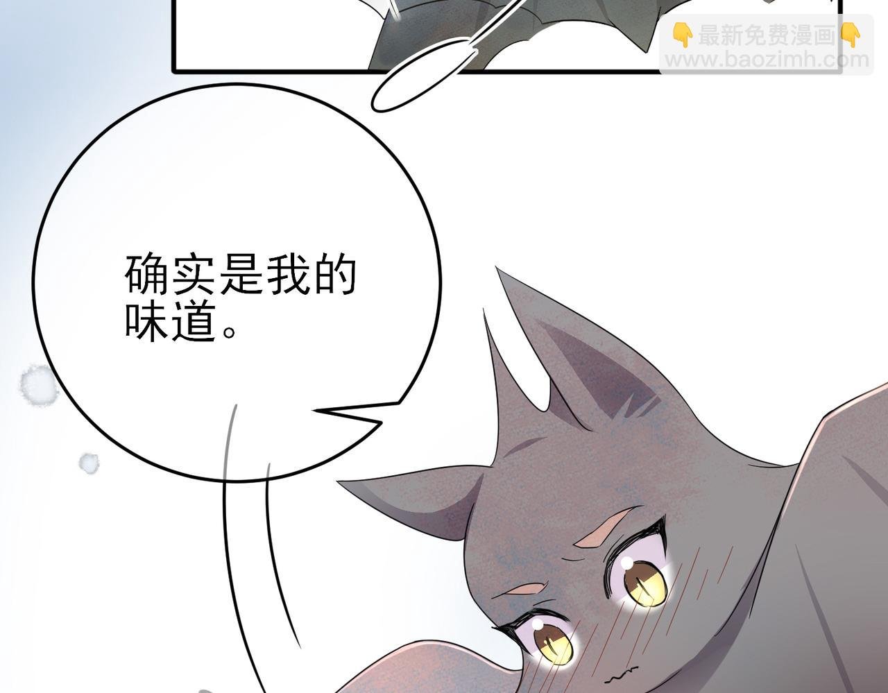 第20话 天使的气味