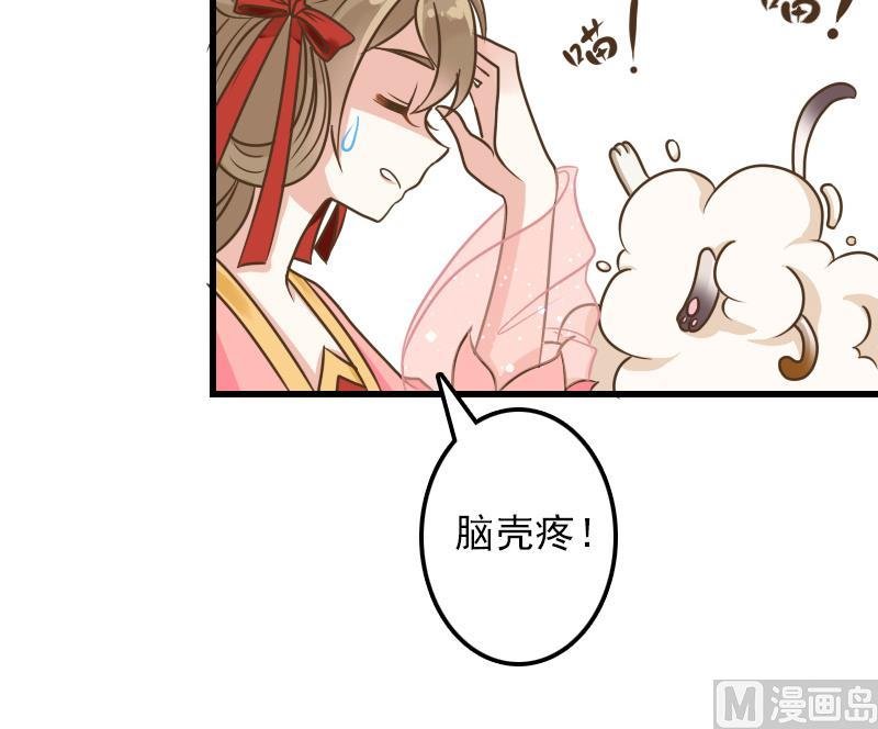 第11话 本命只爱小鱼干