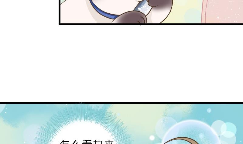 第11话 本命只爱小鱼干