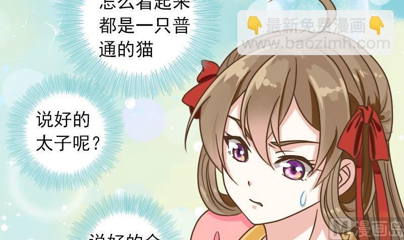 第11话 本命只爱小鱼干