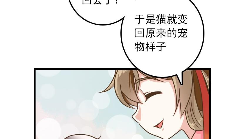 第11话 本命只爱小鱼干