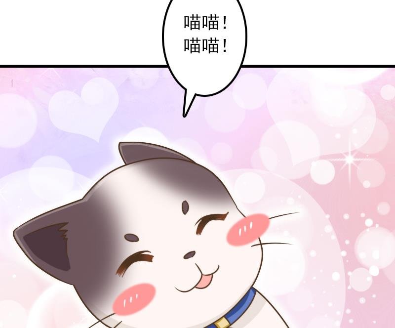 第11话 本命只爱小鱼干