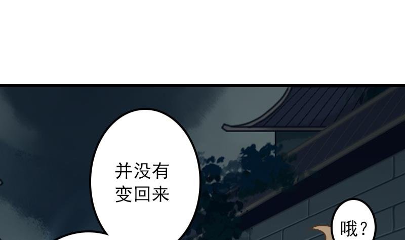 第11话 本命只爱小鱼干