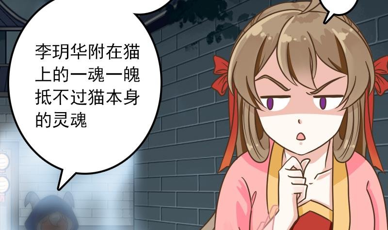 第11话 本命只爱小鱼干