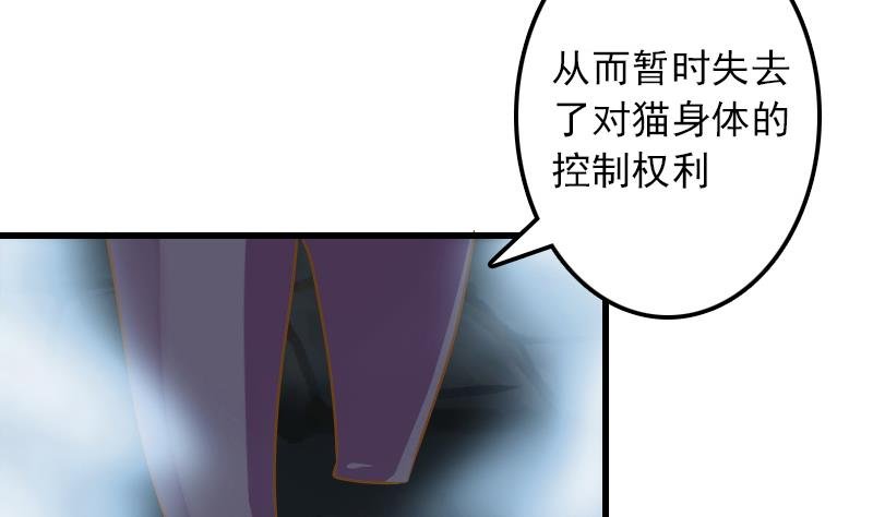 第11话 本命只爱小鱼干