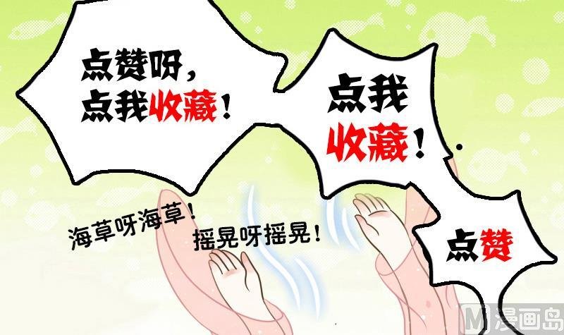 第11话 本命只爱小鱼干