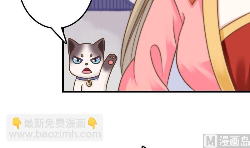 第13话 女人和宠物禁止入内