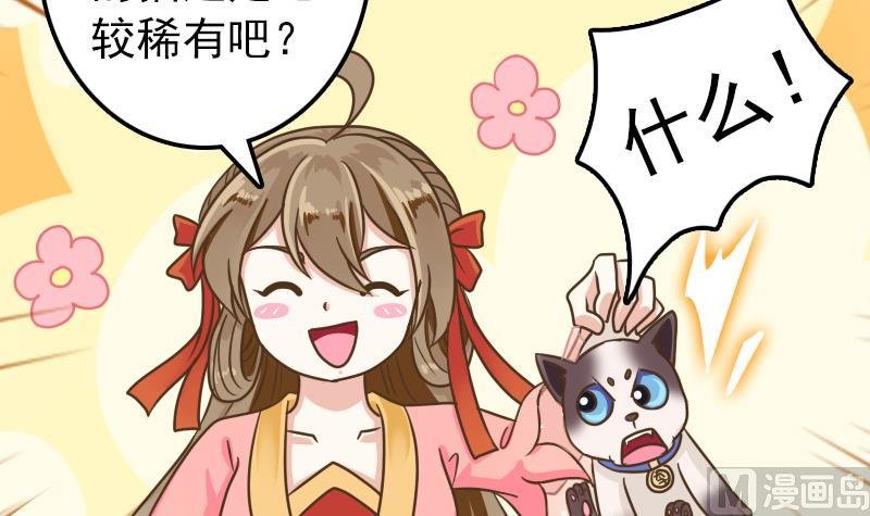 第15话 专业卖队友