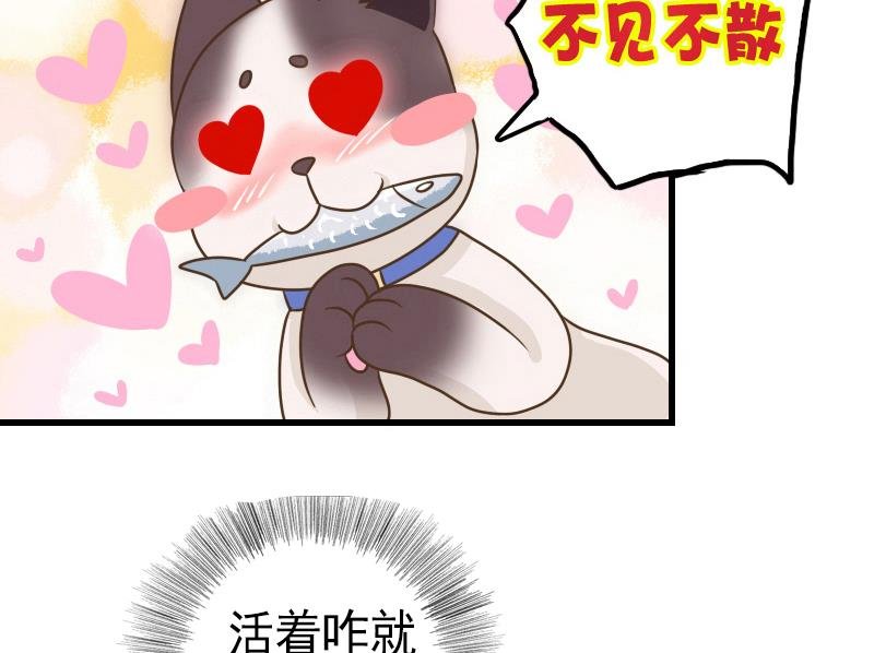 第24话 白老板太子靠你了