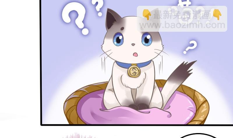 第4话 太子变成猫
