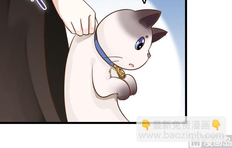 第4话 太子变成猫