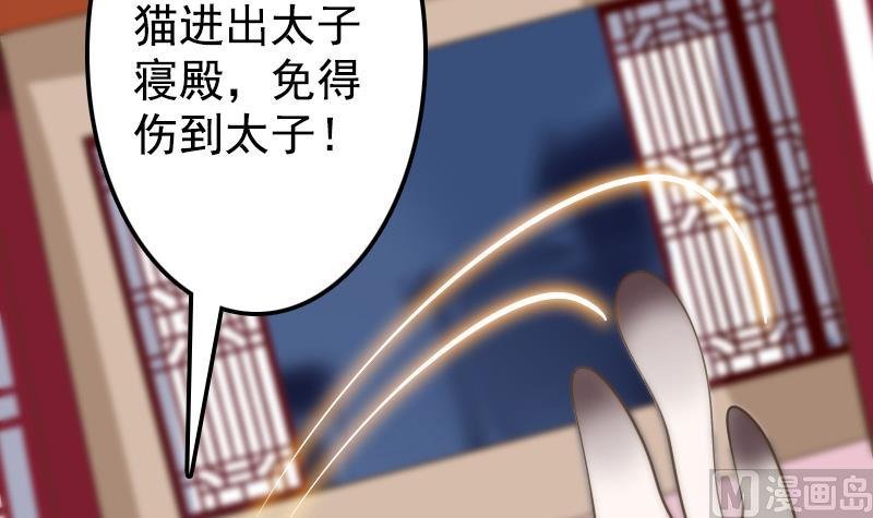 第4话 太子变成猫
