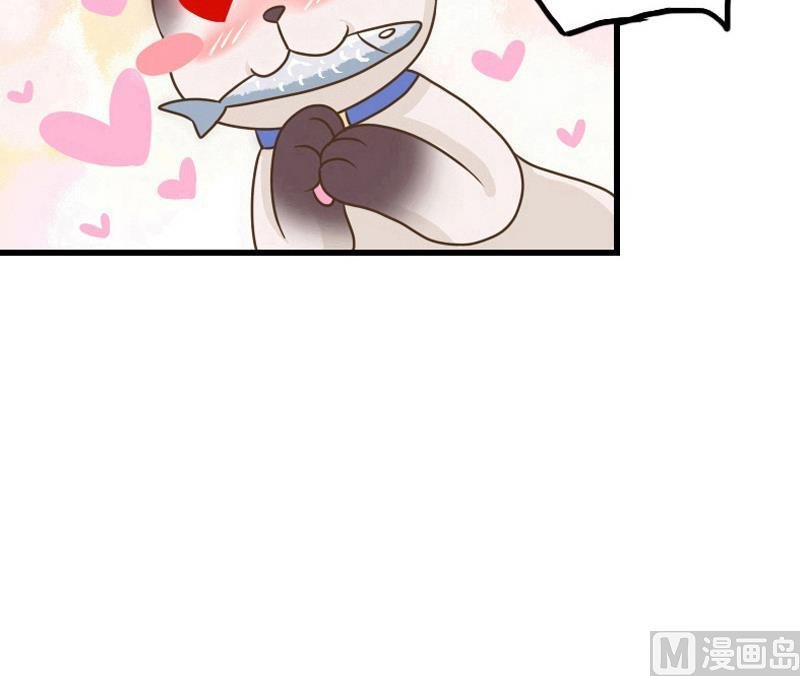 第42话 你是？！