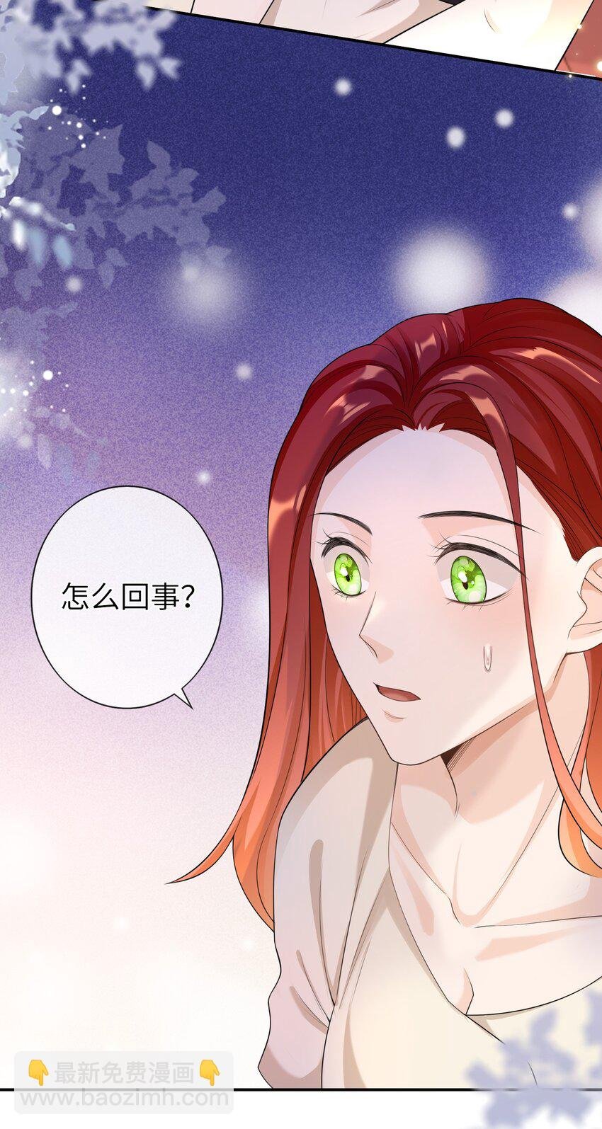 042 好久不见，盛先生