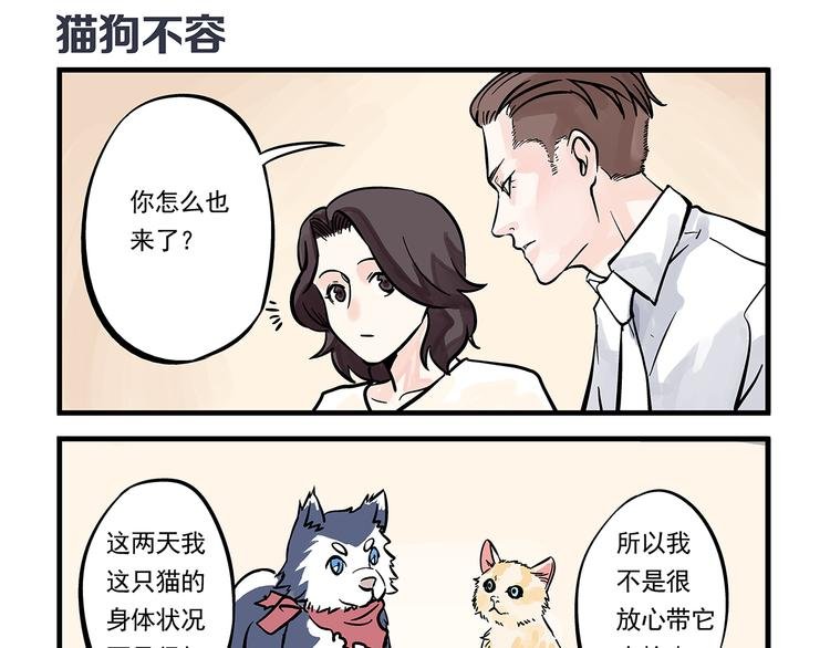 第10话 伤药&探病