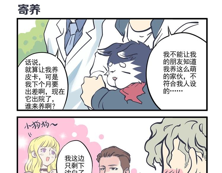 第11话 寄养&尾随