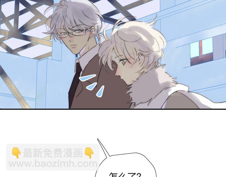 第47话 关系确定