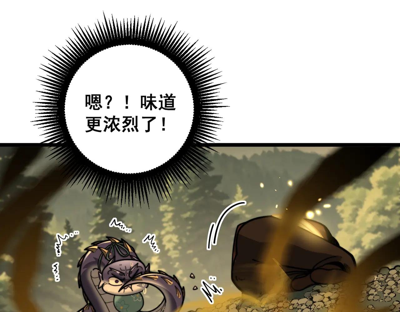 第41回 醒神丹提神醒脑