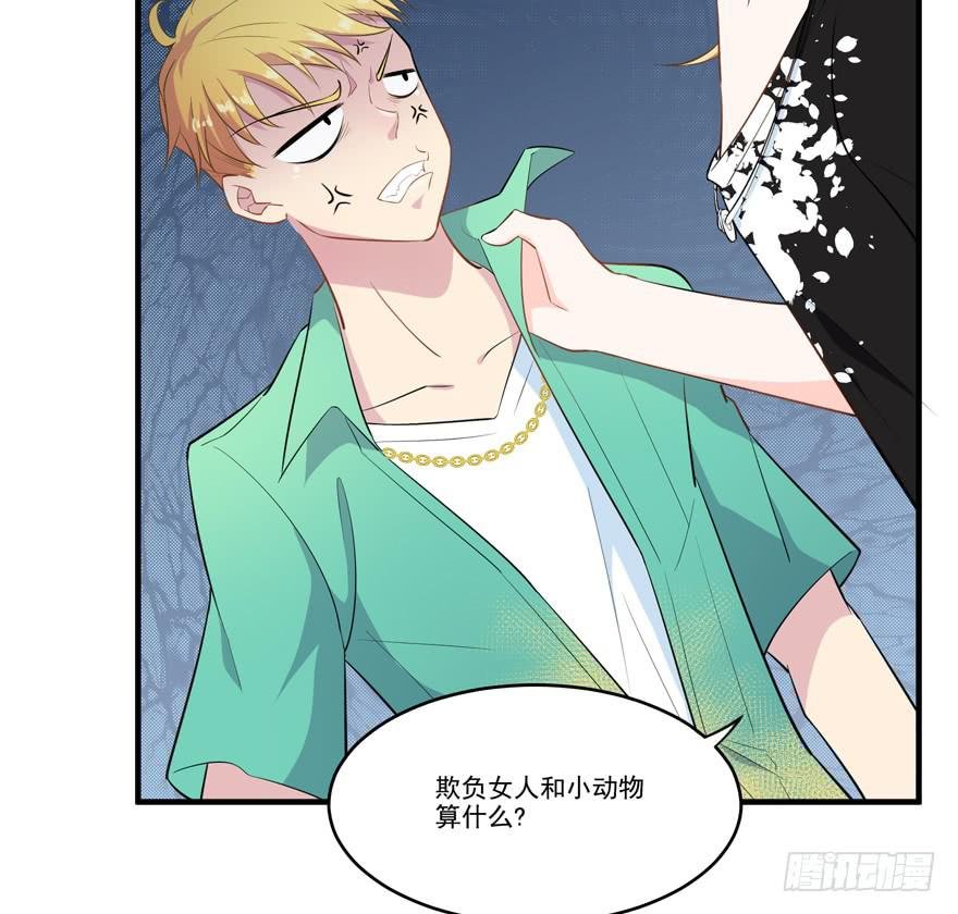 010功夫毒舌男安诺