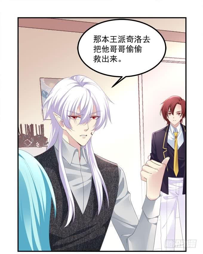 小可爱不要怕