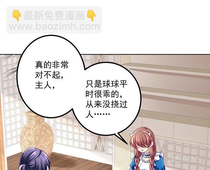 穿女仆装的保镖