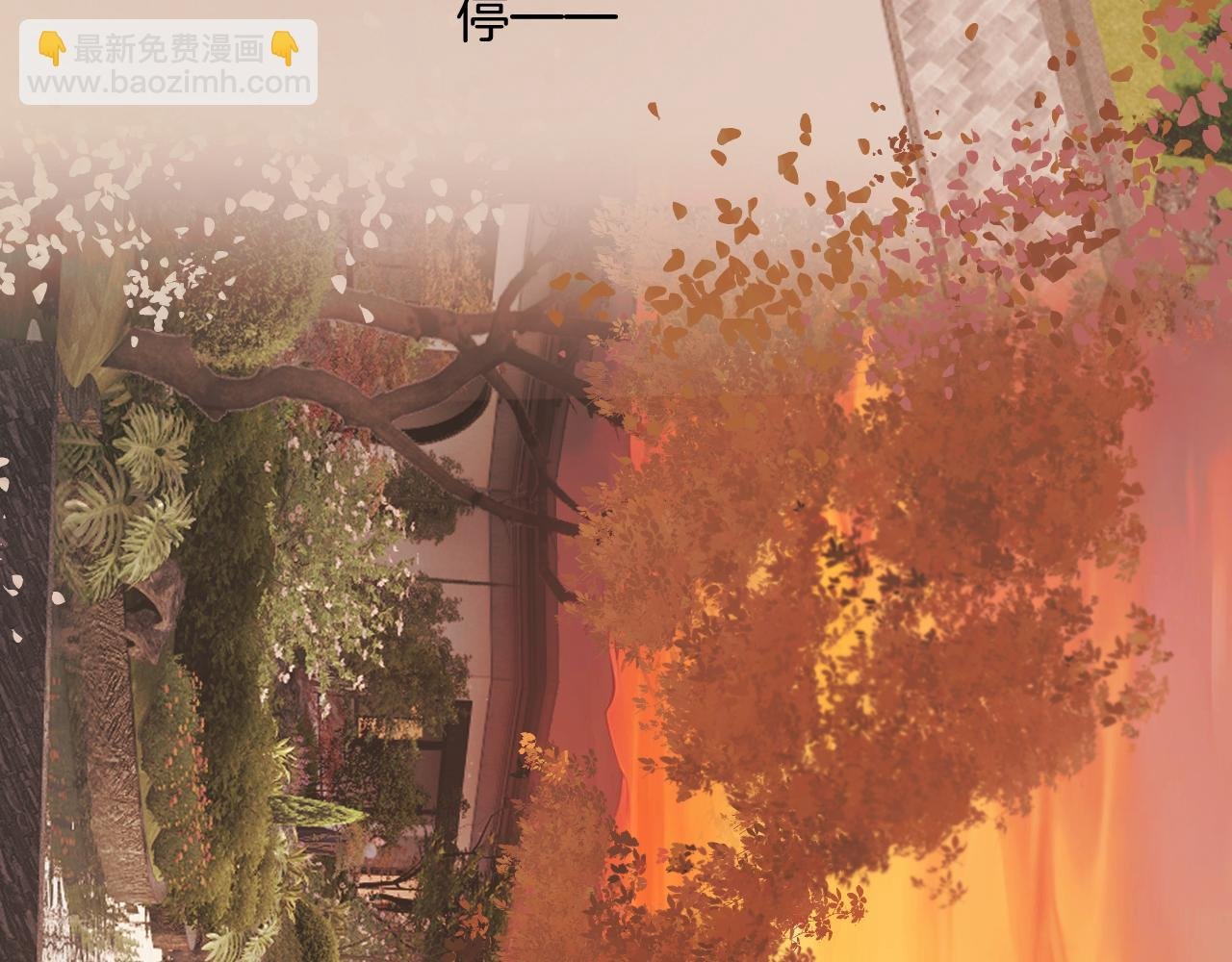 第26话 蛋糕？