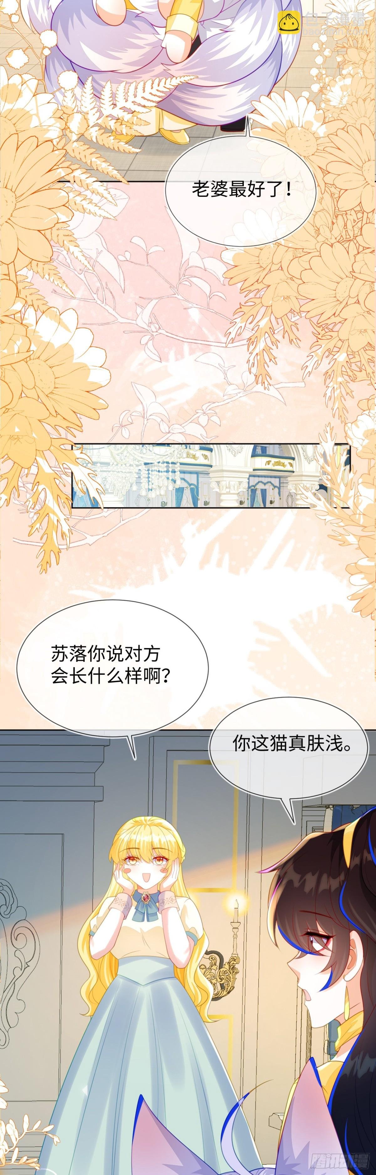 安妮的匹配对象
