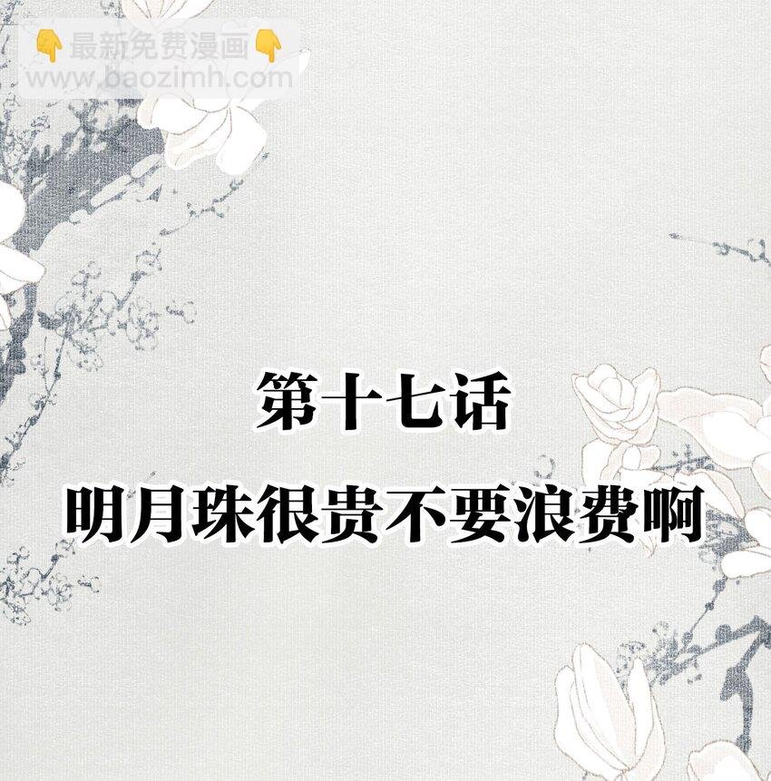 017 明月珠很贵不要浪费啊