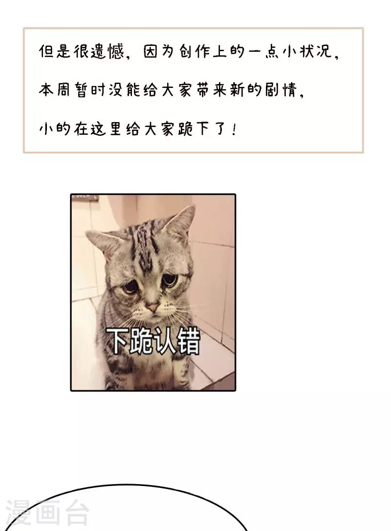 公告