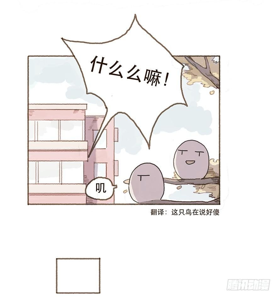 一辈子的梦想
