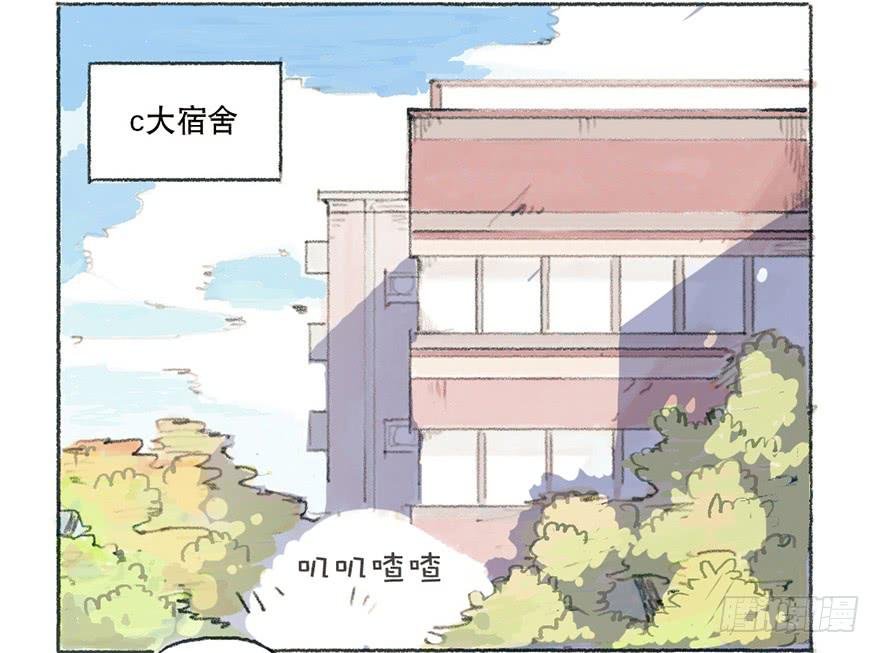 黑粉的职业素养