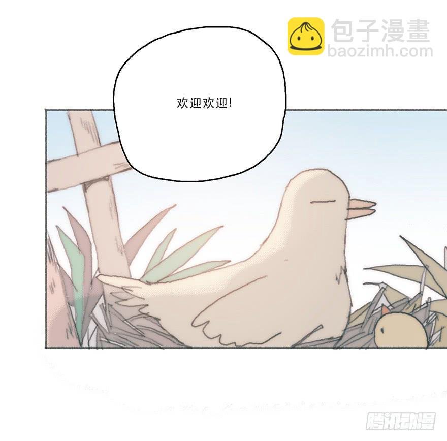 我不喜欢女孩子
