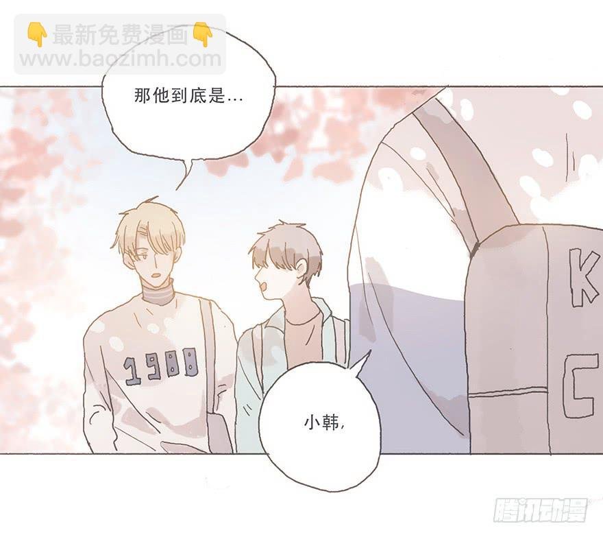 你看见了吧