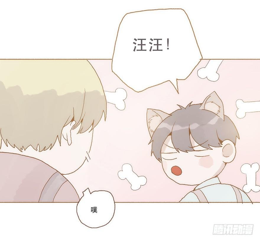 同居室友是黑粉