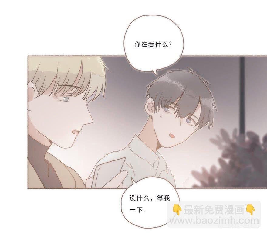 我喜欢你