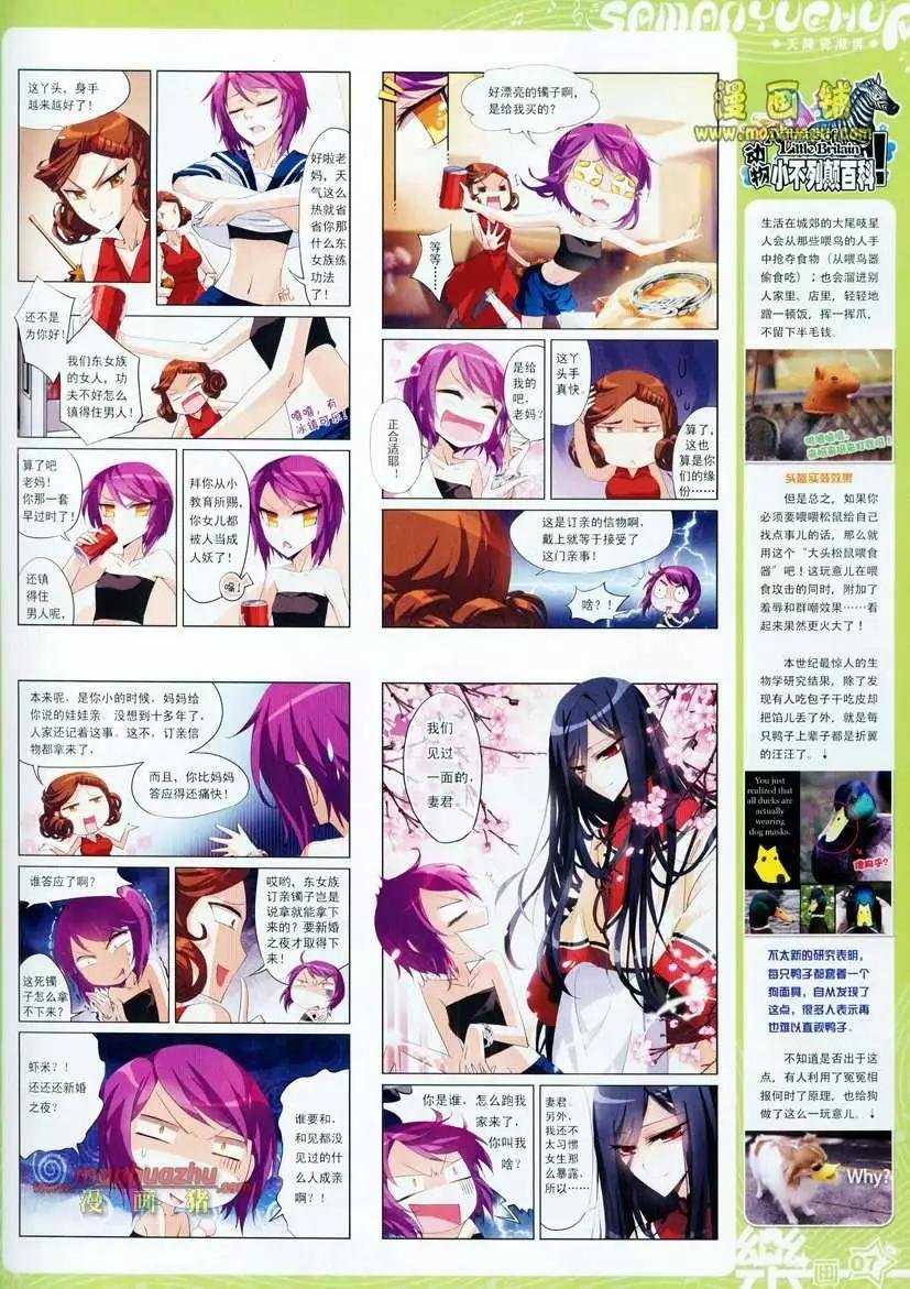24期